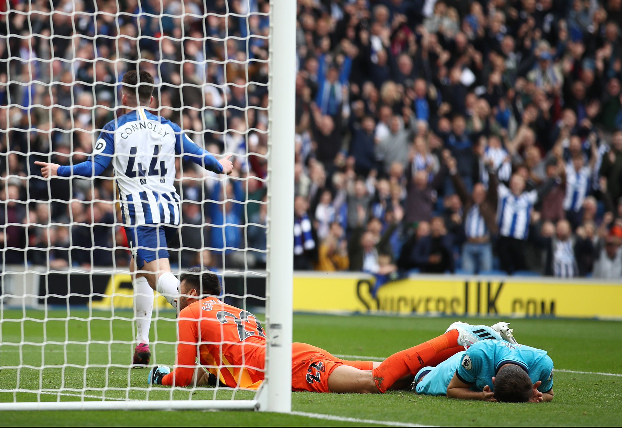 的积极参与 的积极参与