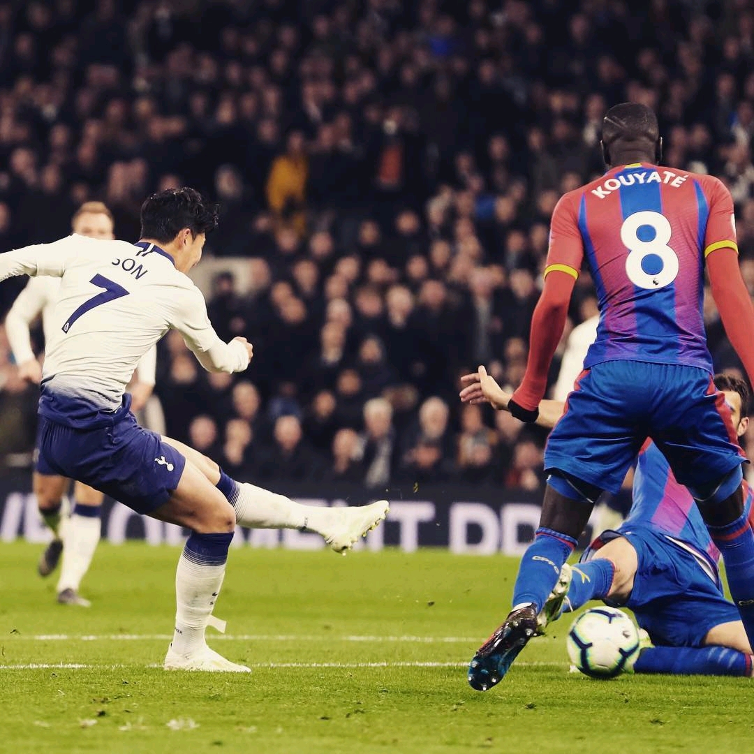 他们从传统 他们从传统